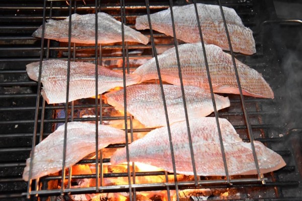 Doradenfilet-grillen