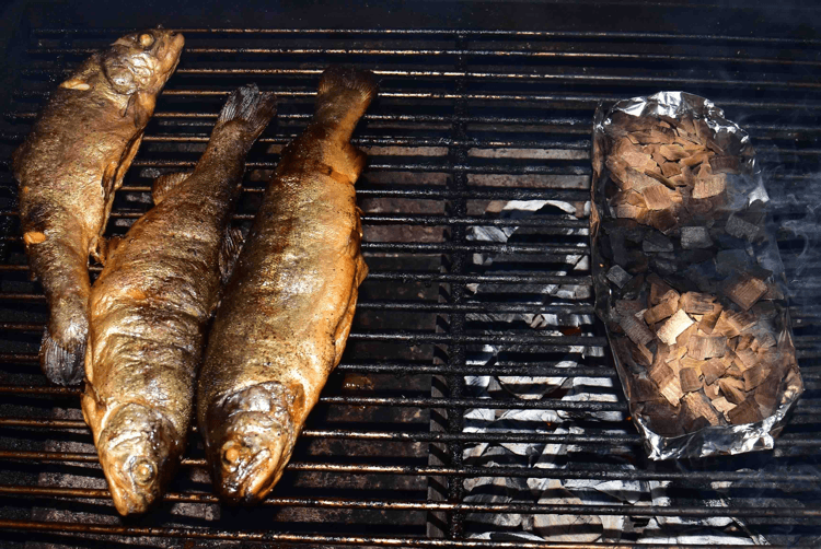 Forelle räuchern auf dem Grill - schnell &amp; lecker | Räucher Rezepte