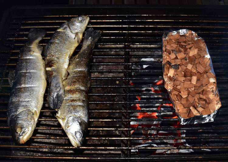 Forelle-auf-Grill-raeuchern-mit-Buchenchips